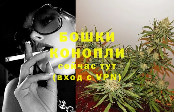 метадон Белокуриха